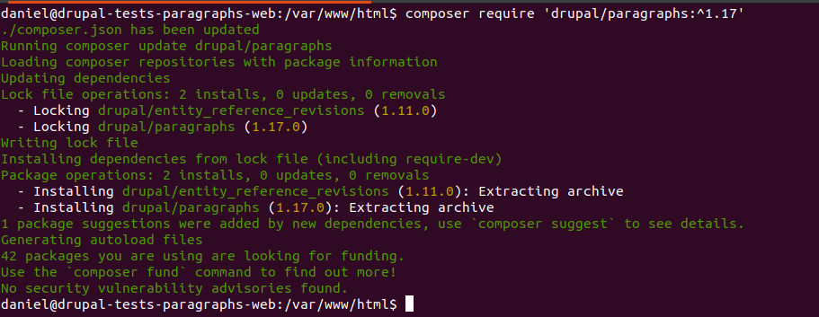 Image 4: Getting the paragraphs module with composer