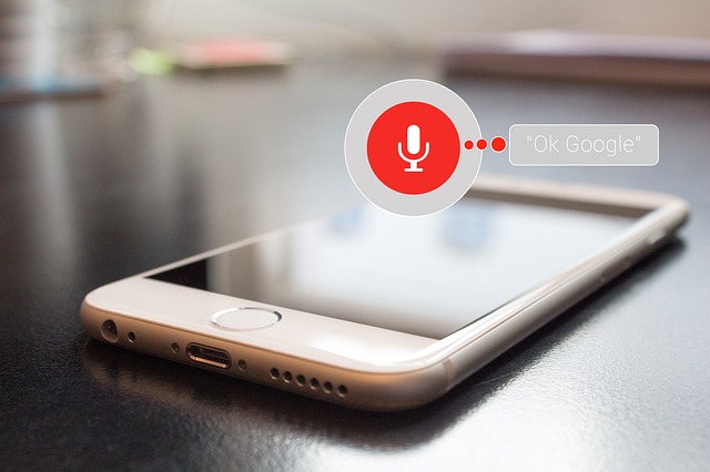 Drupal Voice Search- Drupal-Powered Voice App