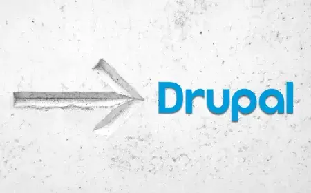 Migrating from other CMS to Drupal: A Step-by-Step Guide for 2024