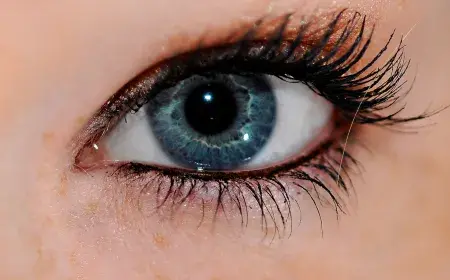 Meet WebGazer: The Free Technology that Turns Your Webcam into an Eye Tracker