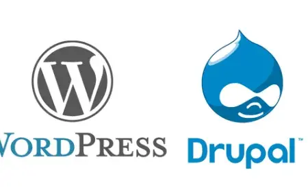 Wordpress vs Drupal – Which One To Pick?