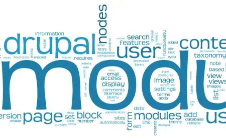 What Are Some of the Top Drupal Modules for SEO? 5 Essential Ones