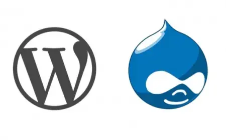 Drupal or Wordpress? Depends on The Type of site You Will Build!