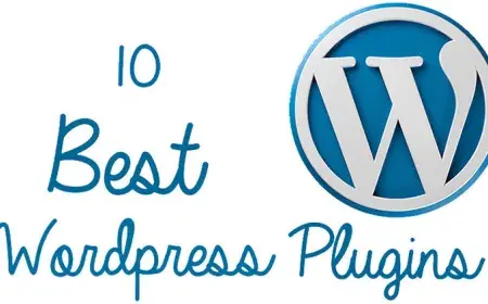  What Are the Best WordPress Plugins? Those Must-Have Ones, Regardless of Your Website’s Specifics?