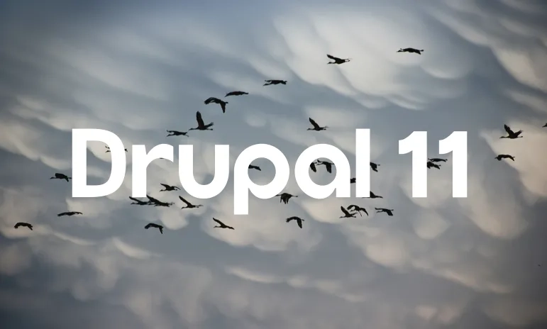 A flock of birds flying against a cloudy sky with "Drupal 11" text overlay, symbolizing migration and transition.