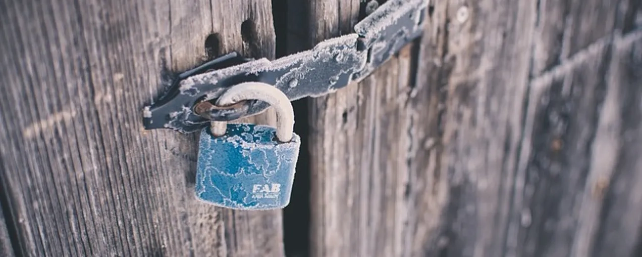 These Are the 15 Best Drupal Security Modules Worth Installing on Your Website