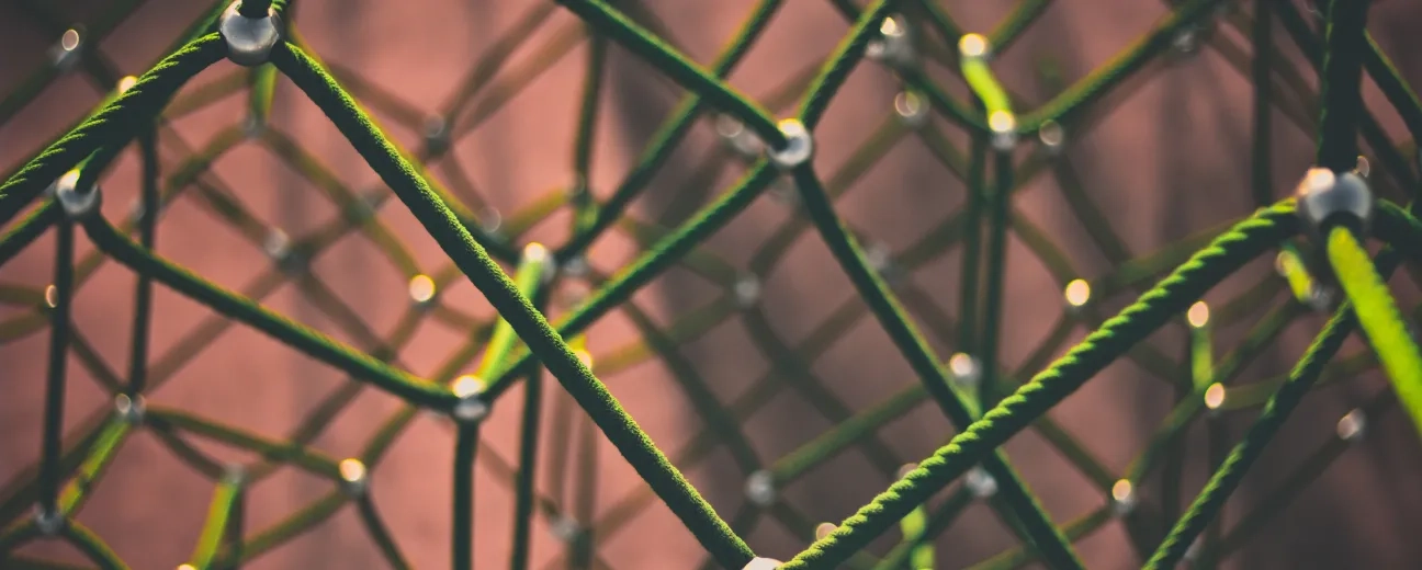 Drupal on Blockchain: Why Would You Want to Decentralize Your Drupal Network?