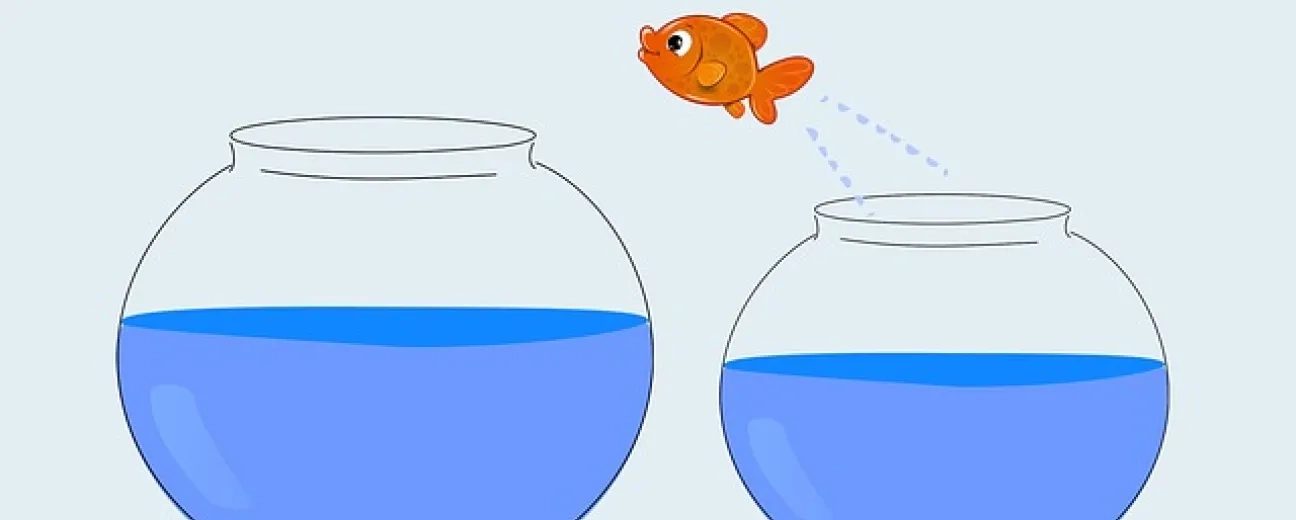 Drupal 9 vs Drupal 8: Or Is It Rather Just "Drupal 8 vs... a Cleaner Version of Drupal 8"?