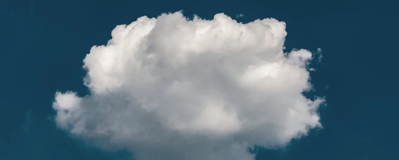 Why Would You Build Your Own Cloud Native Drupal Platform? The Main Benefits and Challenges to Consider