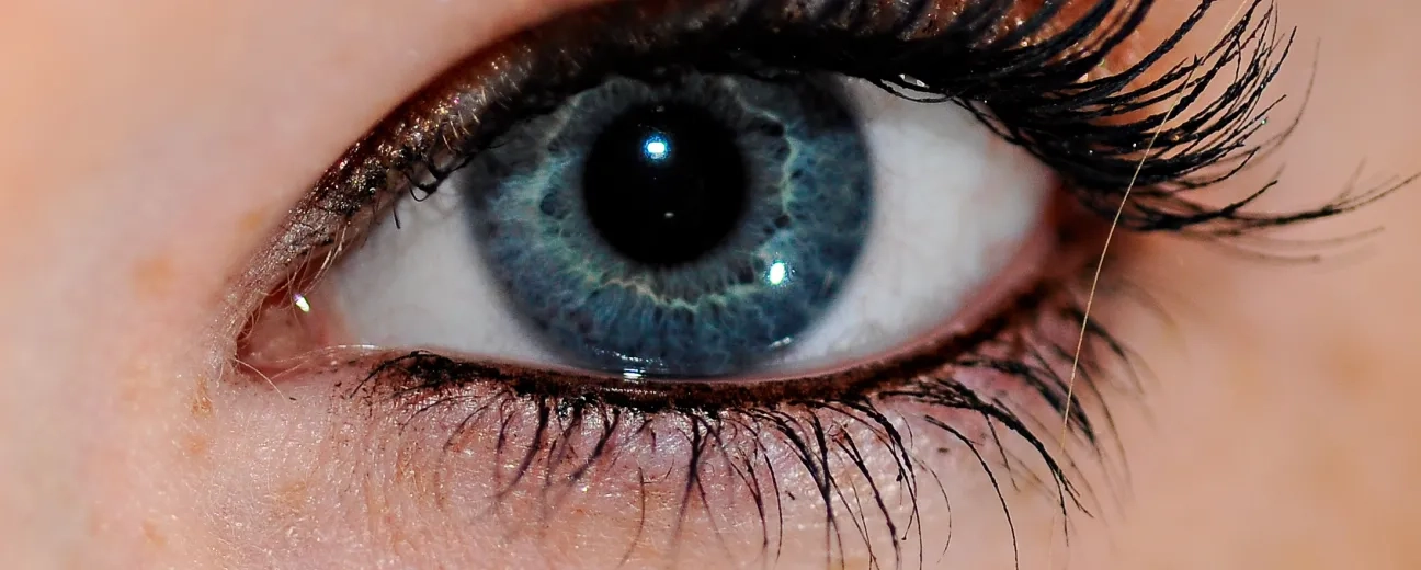 Turn Your Webcam Into an Eye Tracker with Webgazer