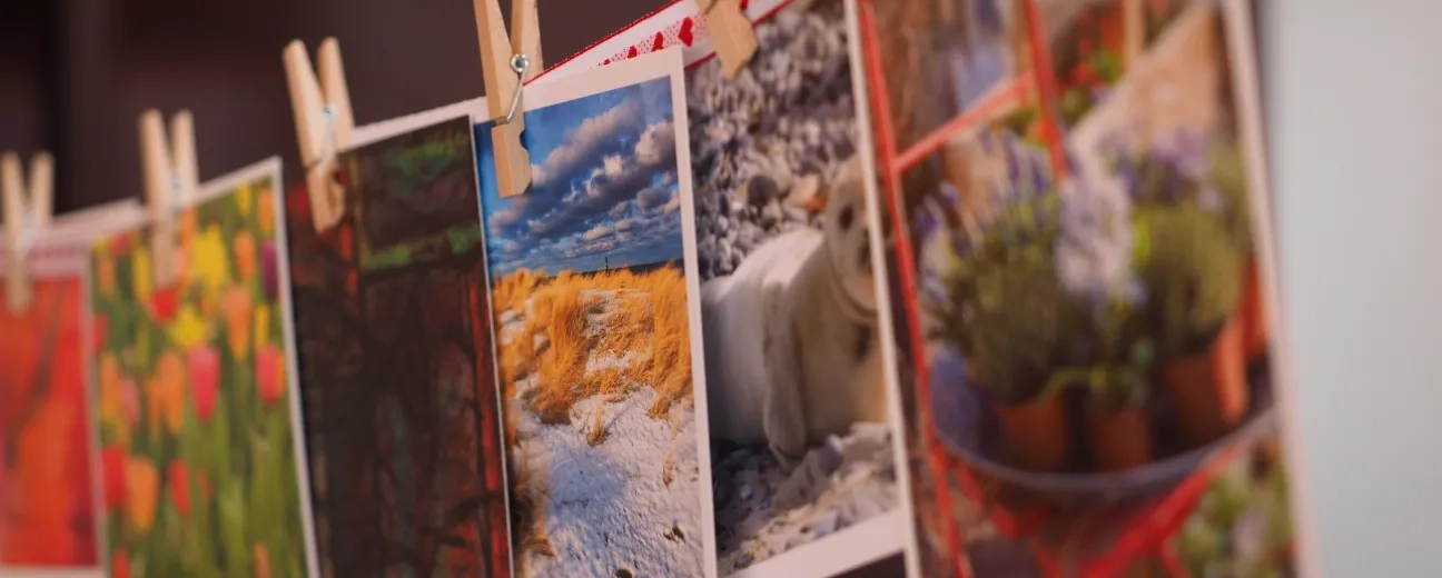 Drupal Image Gallery