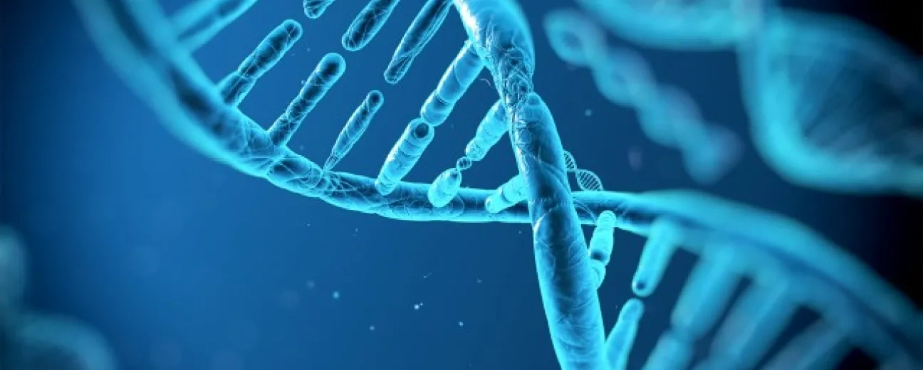 Storing Data on DNA is a Thing 