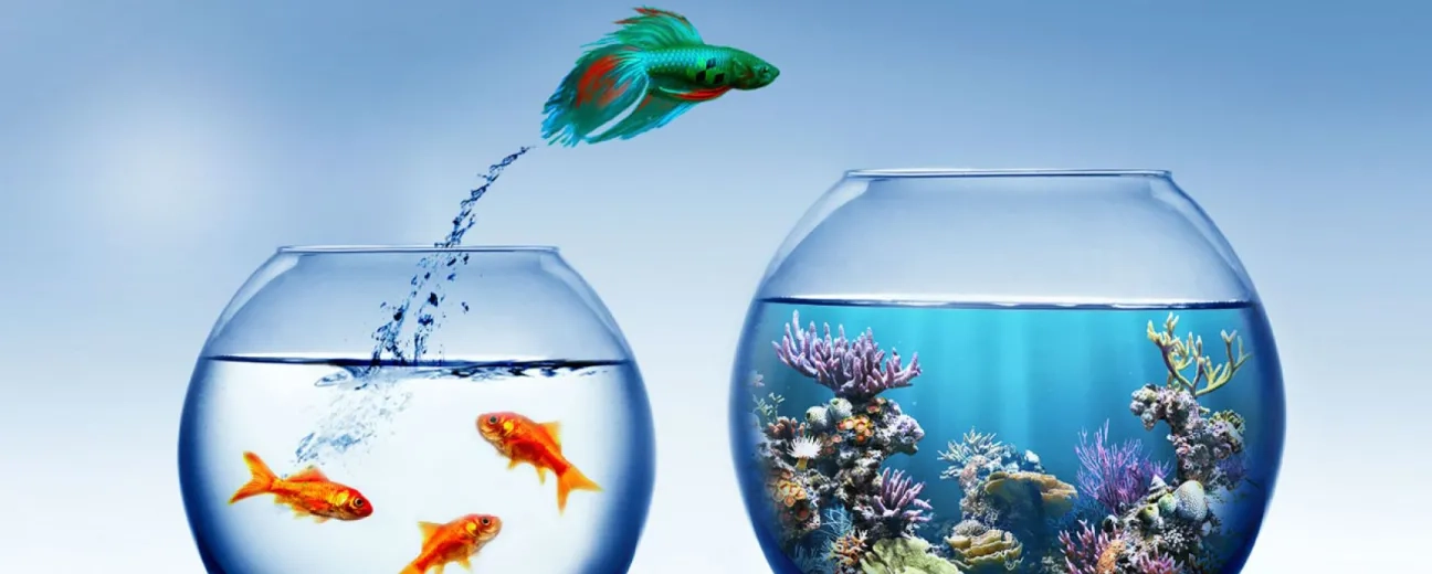 Drupal Migration Services