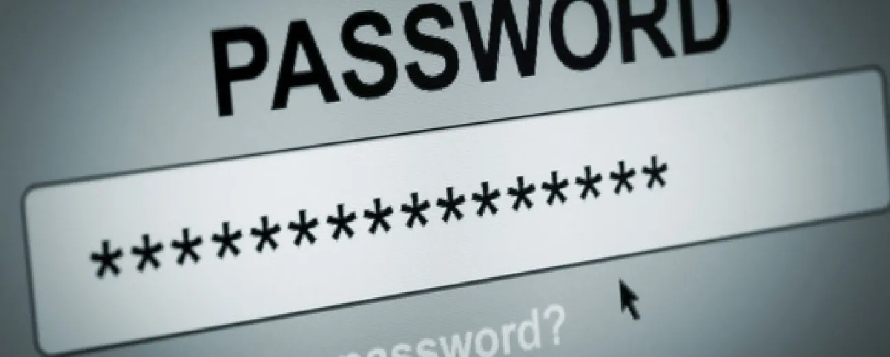 password-free logins