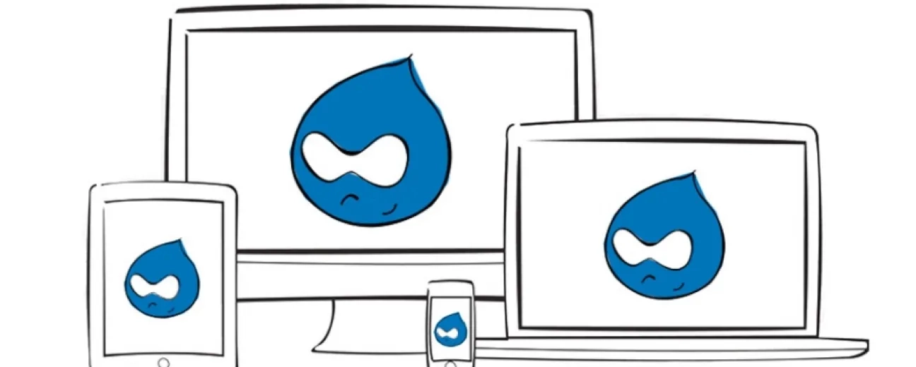 Responsive Images for Drupal 8 Website