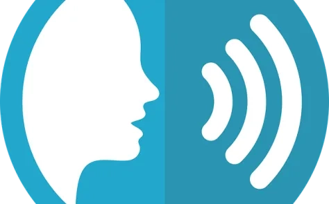 How Do I Optimize My Website for Voice Search in 2019? 4 Web Design and Content Planning Tips