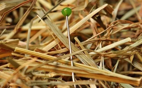 How to Improve Internal Site Search and Boost Your Conversion Rate in 12 Easy Steps