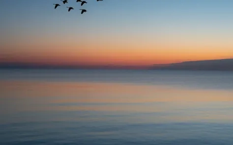 Drupal 10 Migration
