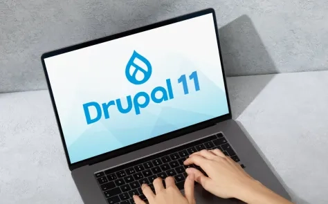 Drupal 11 logo