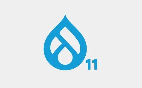 Why Drupal 11 is the Best Choice for Enterprise Websites