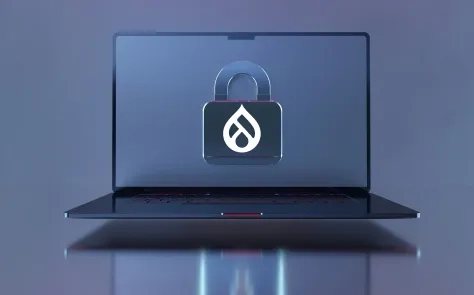 Why Drupal Keeps Winning in Website Security