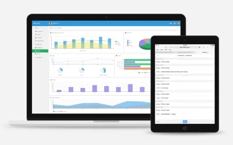Mobile web app development 