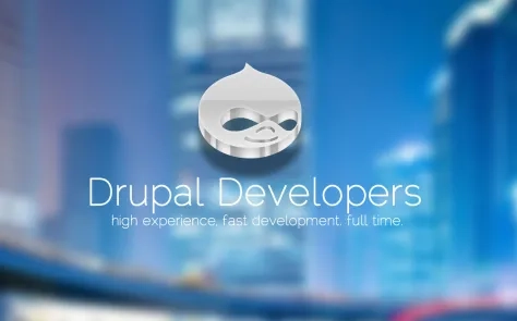 Drupal agency