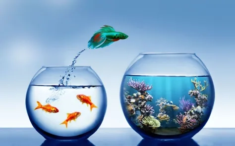 Drupal Migration Services