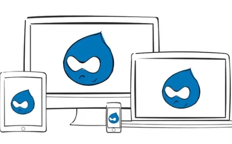 Responsive Images for Drupal 8 Website