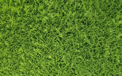 How Green Is Your Drupal Site? 17 Steps to Sustainable Web Development, Part 1