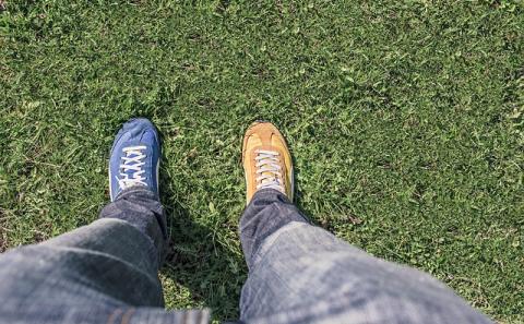 Magento vs Shopify 2019: 10 Most Important Evaluation Criteria to Consider- Part 2