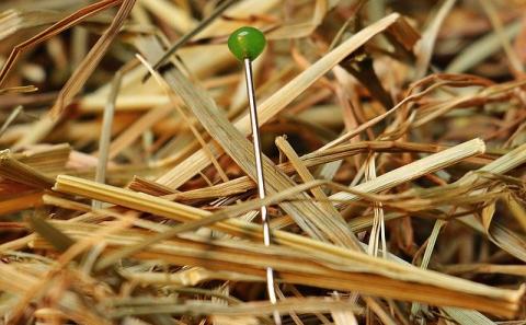 How to Improve Internal Site Search and Boost Your Conversion Rate in 12 Easy Steps How to Improve Internal Site Search and Boost Your Conversion Rate in 12 Easy Steps