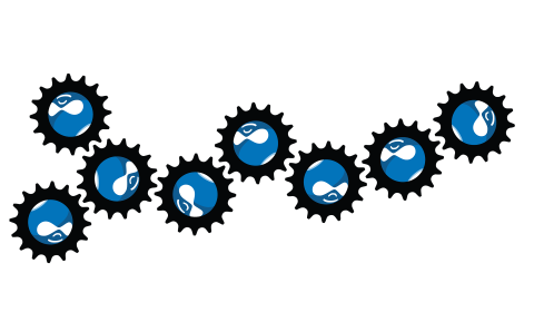 Why Is Drupal 10 the Right Choice for Web Development?