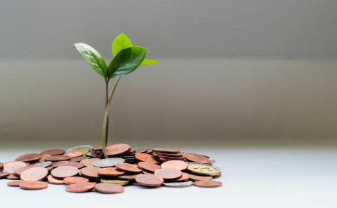 A Budget-Friendly Makeover for Government Websites with Drupal A Budget-Friendly Makeover for Government Websites with Drupal