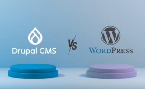 WordPress or Drupal CMS? Choose the Right CMS for You