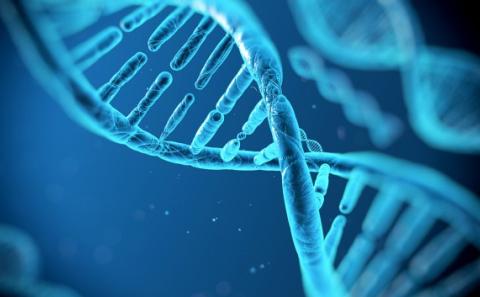 Breaking News: Microsoft’s Planning on Storing Data on DNA Breaking News: Microsoft’s Planning on Storing Data on DNA