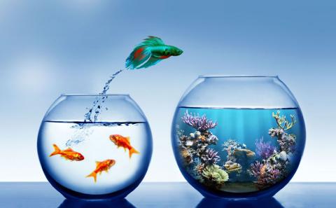 Drupal Migration Services Drupal Migration Services