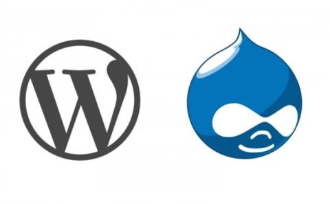 Drupal or Wordpress? Depends on The Type of site You Will Build!
