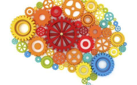 How Do You Create a Highly Persuasive Web Design? 4 User Psychology Principles to Apply
