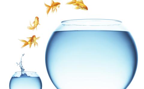 Drupal 7 vs Drupal 8: Should You Upgrade or Migrate? Drupal 7 vs Drupal 8: Should You Upgrade or Migrate?