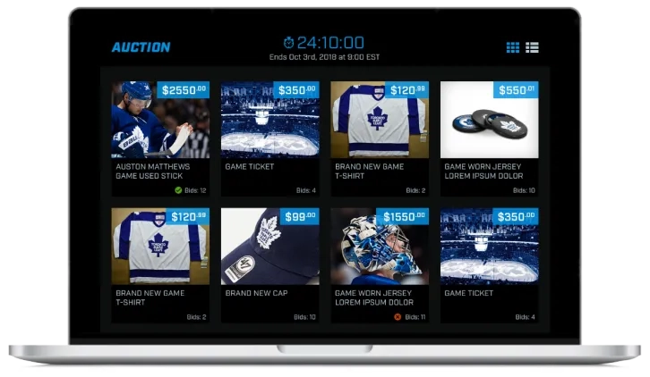 MLSE - Auctions