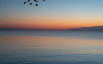 Drupal 10 Migration