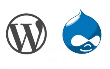 Drupal or Wordpress?