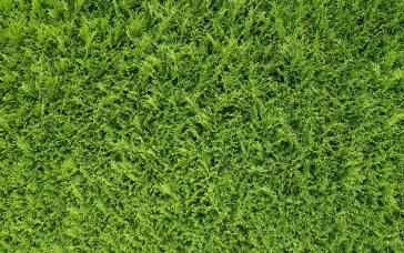 How Green Is Your Drupal Site? 17 Steps to Sustainable Web Development, Part 1