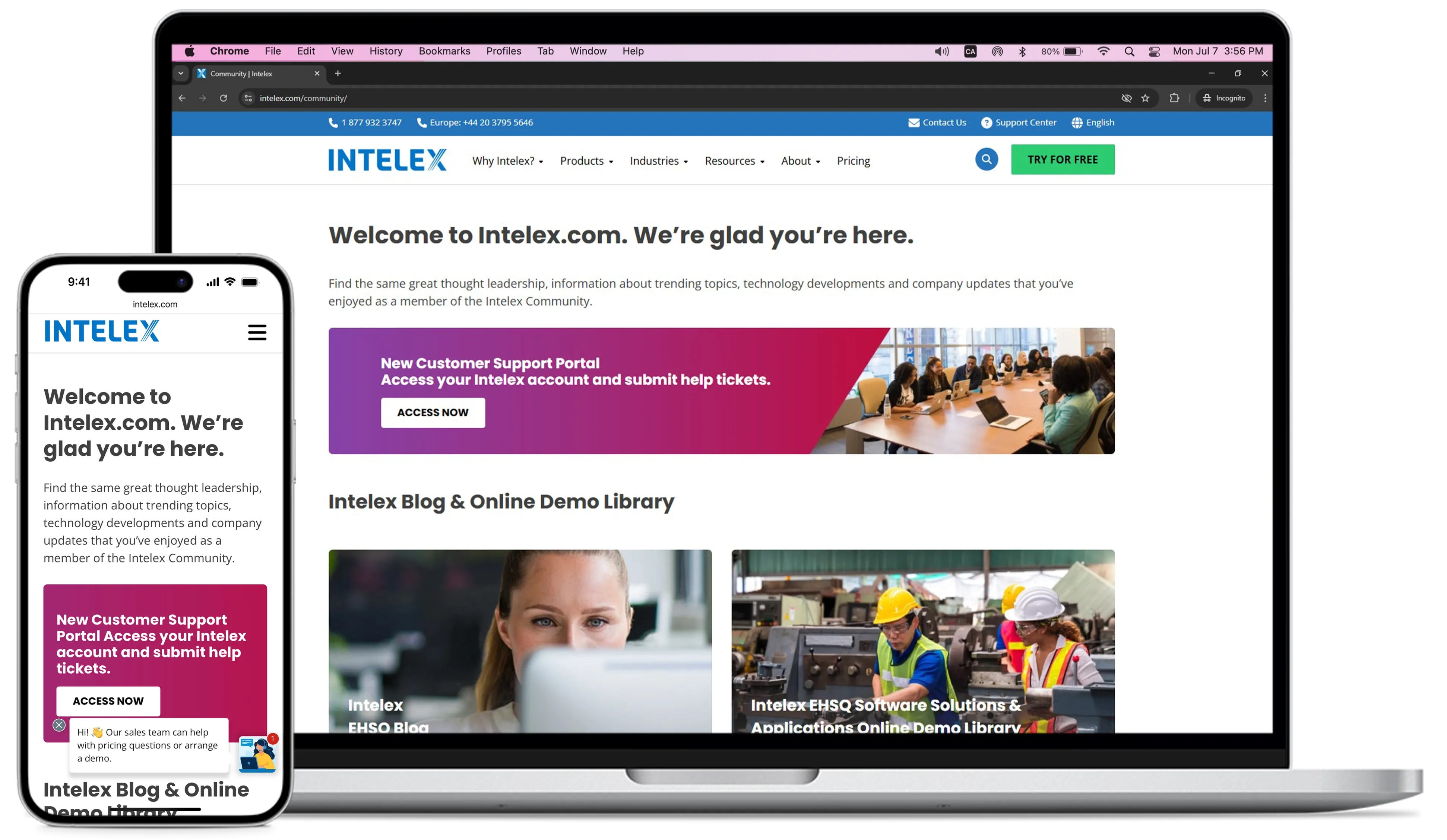 Intellex